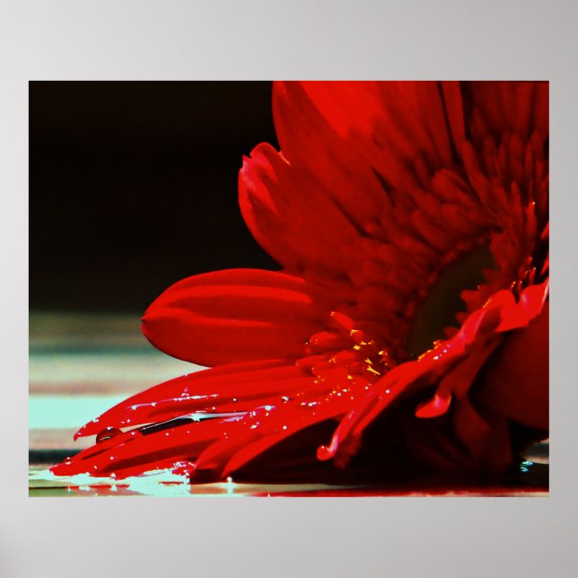 Poster Flower rouge (Devant)