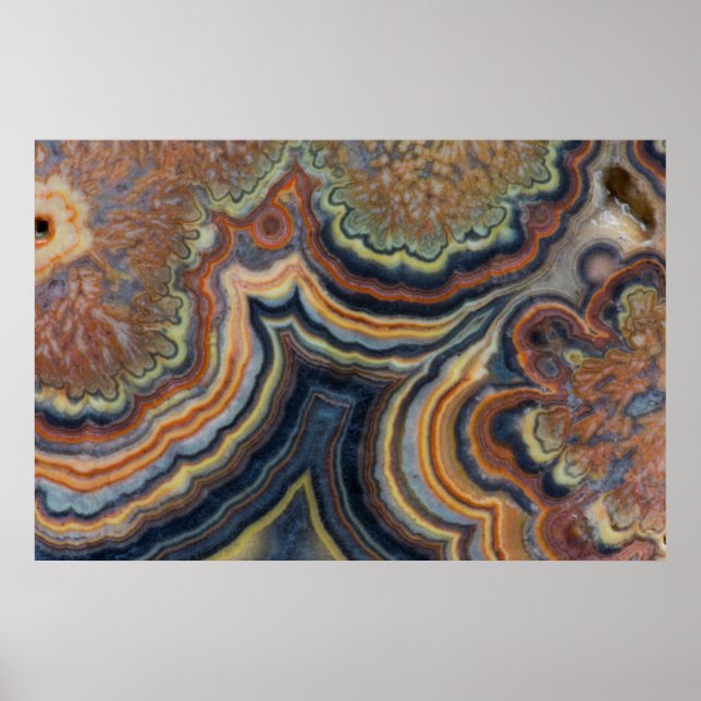 Poster Flowering tube onyx (Devant)