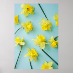 Poster Flowers (homonymie) Daffodils