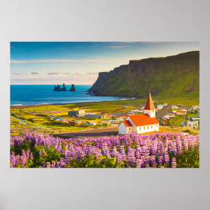 Poster Flowers (homonymie) Lupines in Bloom Southern Ic