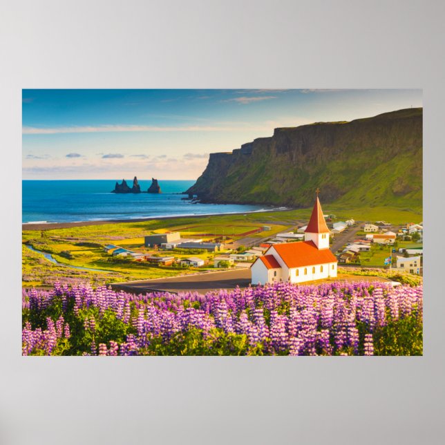 Poster Flowers (homonymie) | Lupines in Bloom Southern Ic (Devant)