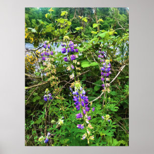 Poster Flowers on the Trail, Oregon