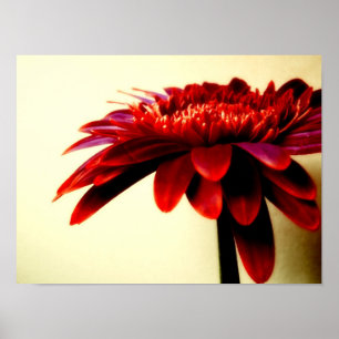 POSTER FLOWERSERIES-007