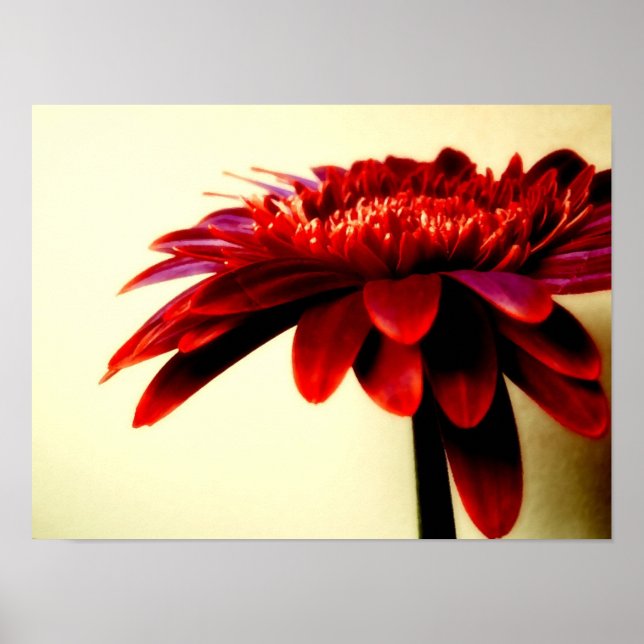 POSTER FLOWERSERIES-007 (Devant)