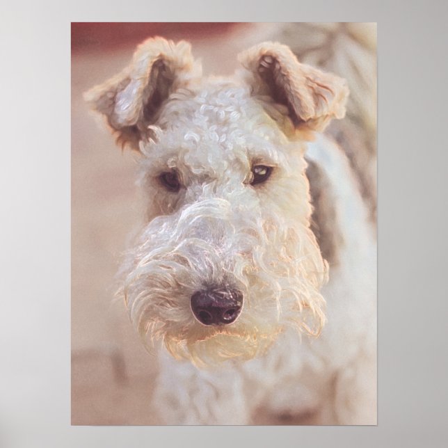 Poster Fluffy Airedale Welsh Terrier Type Chien Chien Chi (Devant)