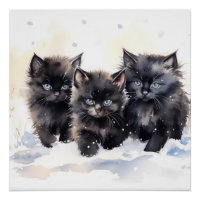 Fluffy Black Kittens