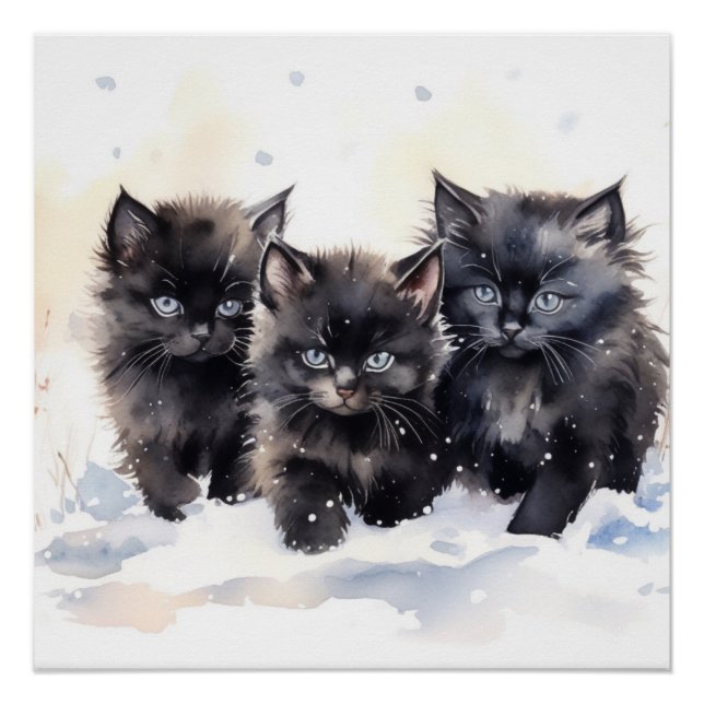 Poster Fluffy Black Kittens (Devant)