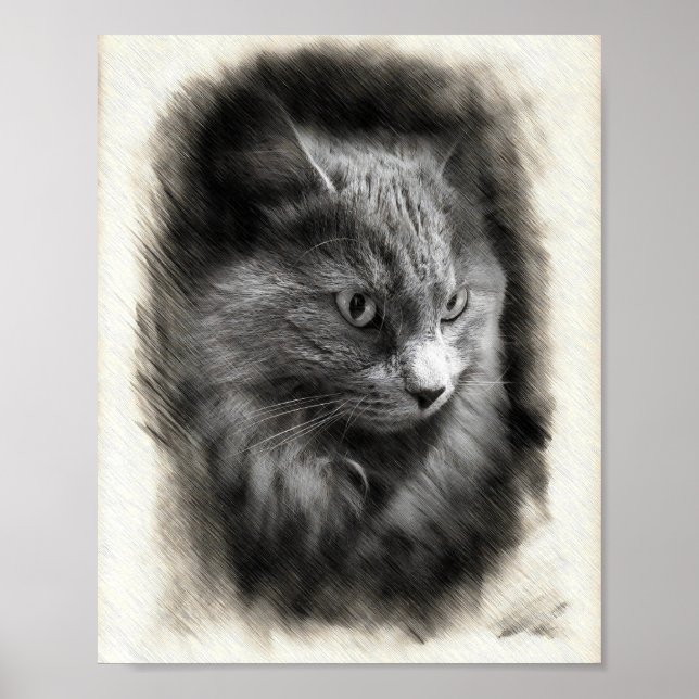 Poster Fluffy Gray Cat Sketch - Soft Feline Portrait Art  (Devant)