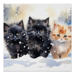 Poster Fluffy Kittens