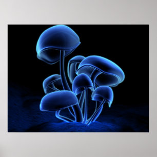 Poster Fluorescence