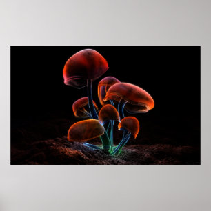 Poster Fluorescence (2009)