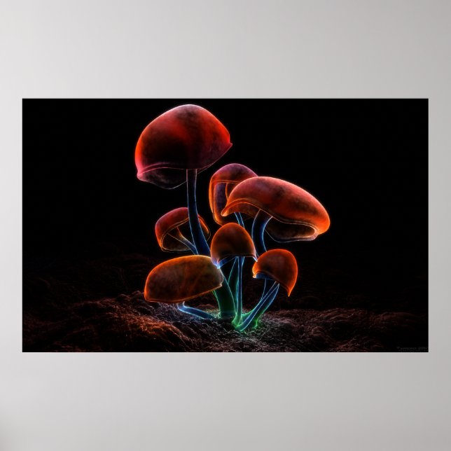 Poster Fluorescence (2009) (Devant)