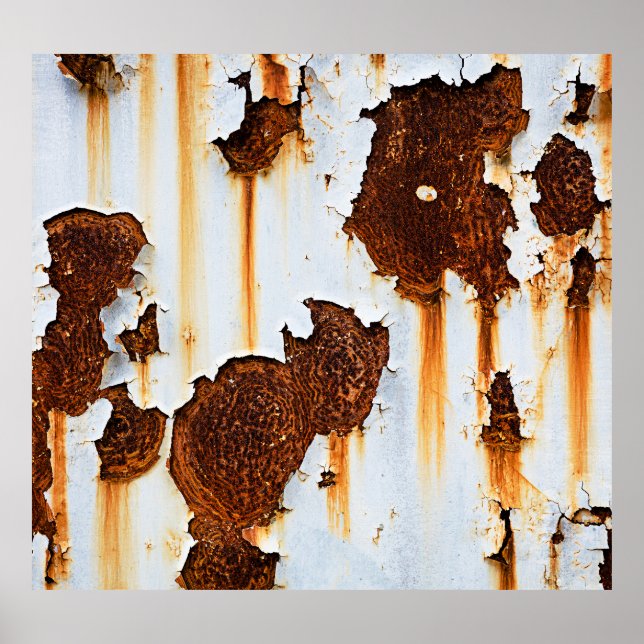 Poster Flux de rouille blanche corrompu (Devant)