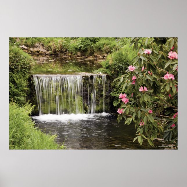 Poster Flux Et Cascade Dans Le Parc National De Dartmoor (Devant)