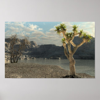 Poster Flux occidental