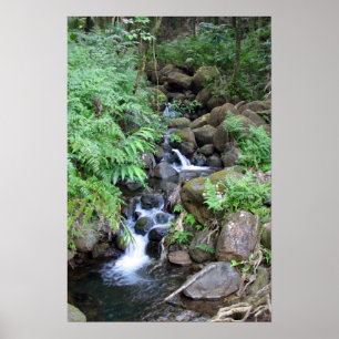 Poster Flux tropical hawaïen Imprimer