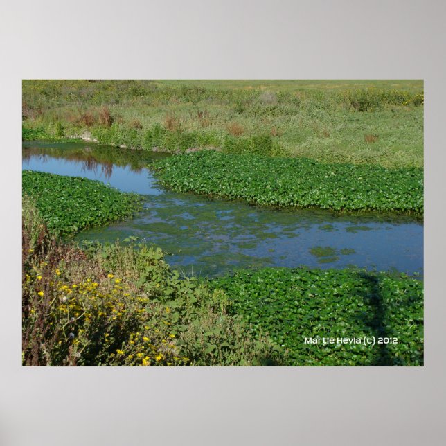 Poster Flux verts (Devant)