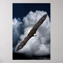 Flying Bald Eagle and Nuages Wildlife Photo Print2