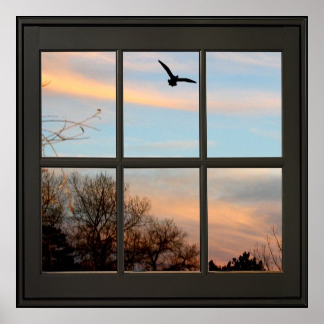 Poster Flying Bird Faux Window Illusion 24x24 Noir (Devant)