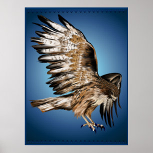 Poster Flying Hawk Print