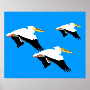 Poster Flying Pelican in Blue Oval