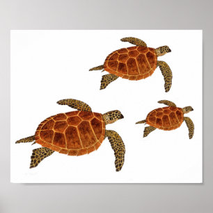 Poster Flying Turtles