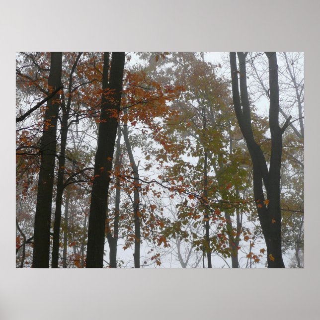 Poster Foggy Fall en Pennsylvanie Automne Nature (Devant)