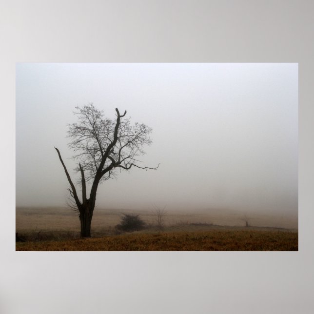 Poster Foggy Meadow (Devant)