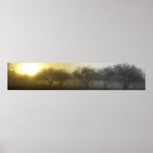 Poster Foggy Morning Panoramique