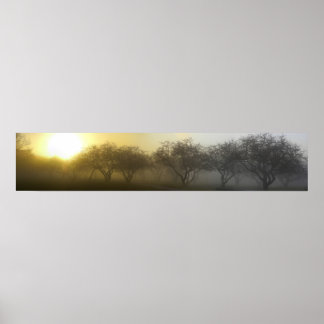 Poster Foggy Morning Panoramique