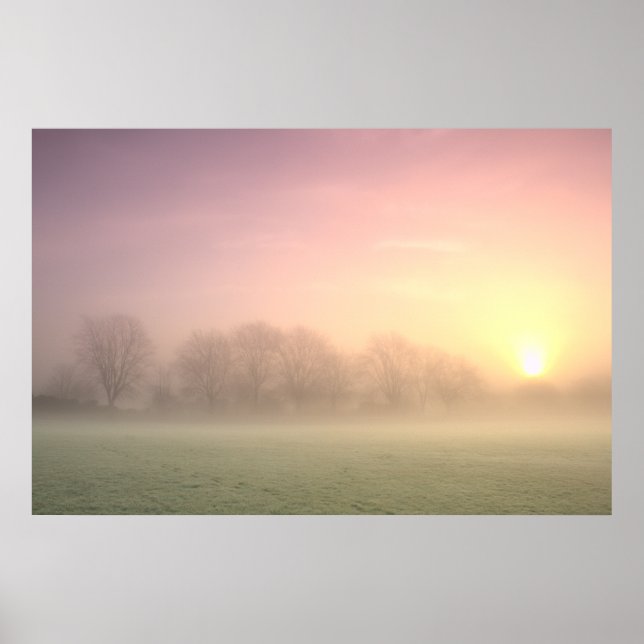 Poster Foggy Winter Sunrise (6598) (Devant)