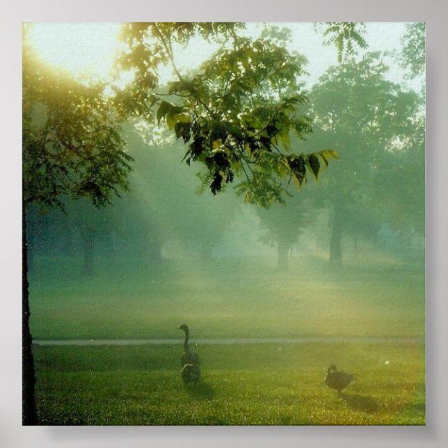 Poster foggyne (Devant)