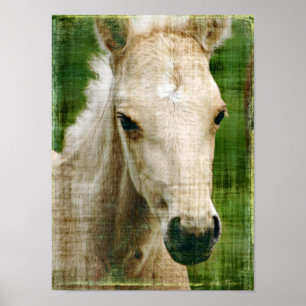 Poster Foie Palomino