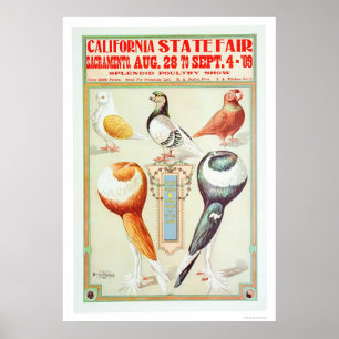 Poster Foire d'État de Californie 1909