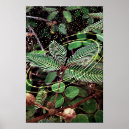 Poster Folhas