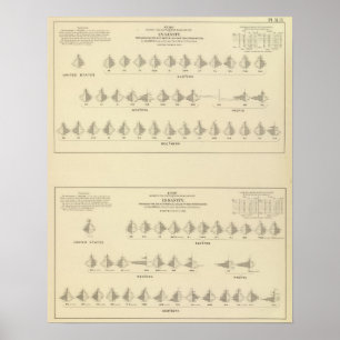 Poster Folie, lithographie statistique des USA