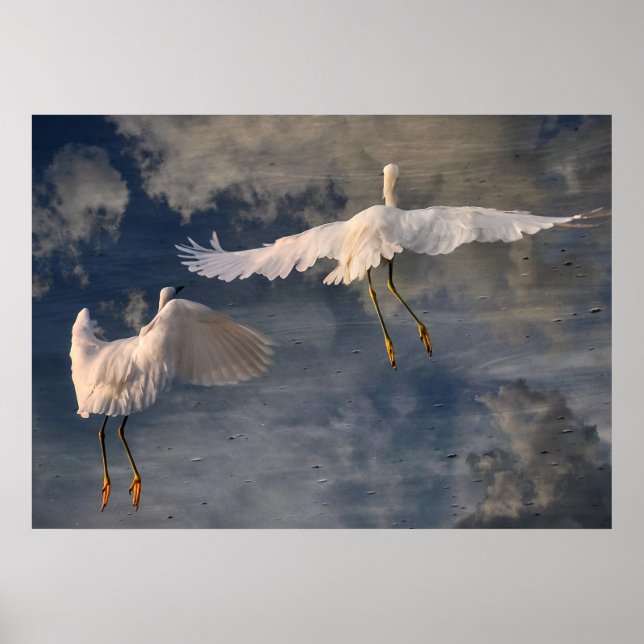 Poster Follow Me (Devant)