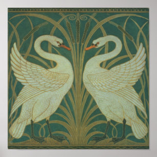 Poster Fond d'écran pour panneau "Swan, Rush & Iris"