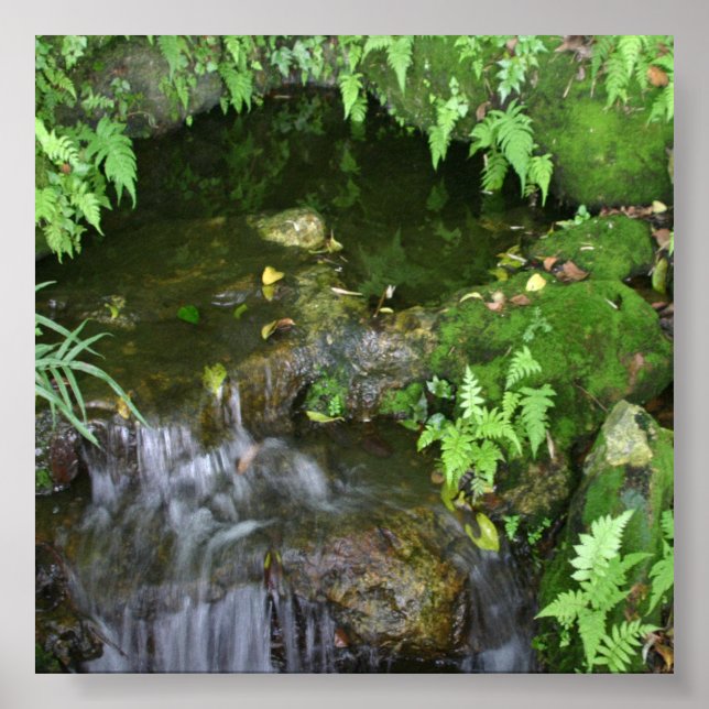 Poster Fond photo Fairy Hot Spot (Devant)