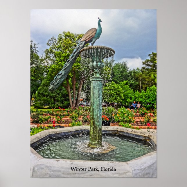 Poster Fontaine Peacock & Jardin Rose dans le parc d'hive (Devant)