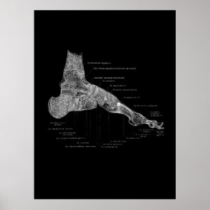 Poster Foot Anatomy Podiatrist Venin Medical Wall Decor