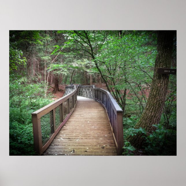 Poster Footbridge (Devant)