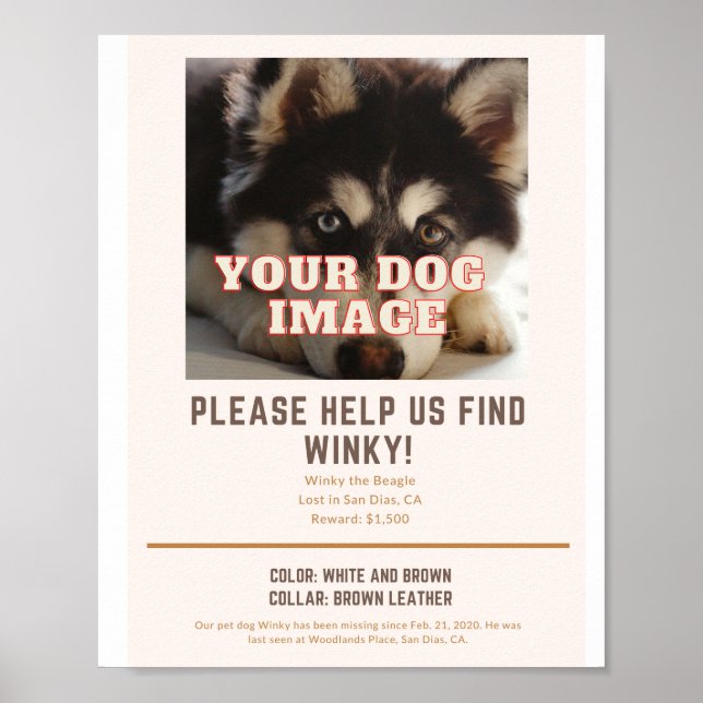 poster for your missing dog (Vorne)