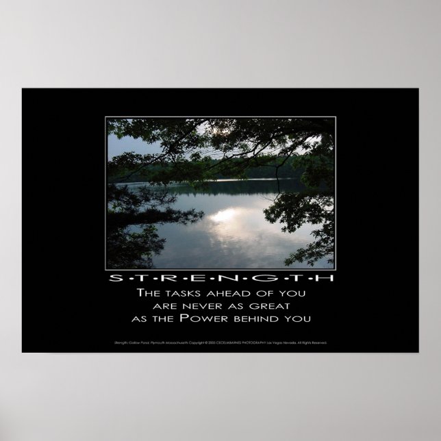 Poster Force (Devant)