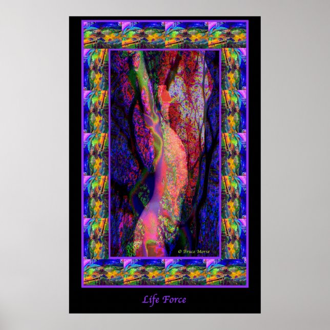 Poster Force de vie (Devant)