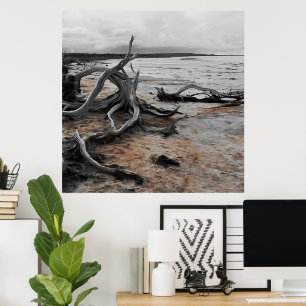 Poster Forces naturelles du lac Tyrrell