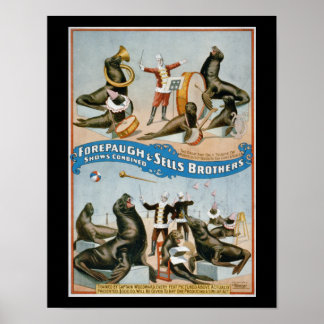 Poster Forepaugh et Sells - salissures de cirque vintage