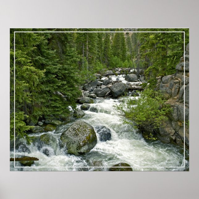 Poster-Forest-Fluss Poster (Vorne)