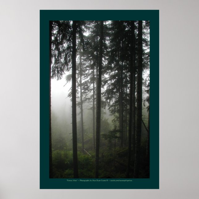 Poster "FOREST MIST" Forêt sauvage Imprimer (Devant)