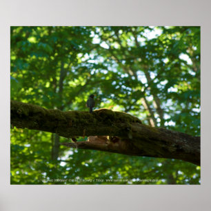 Poster Forest Overpass